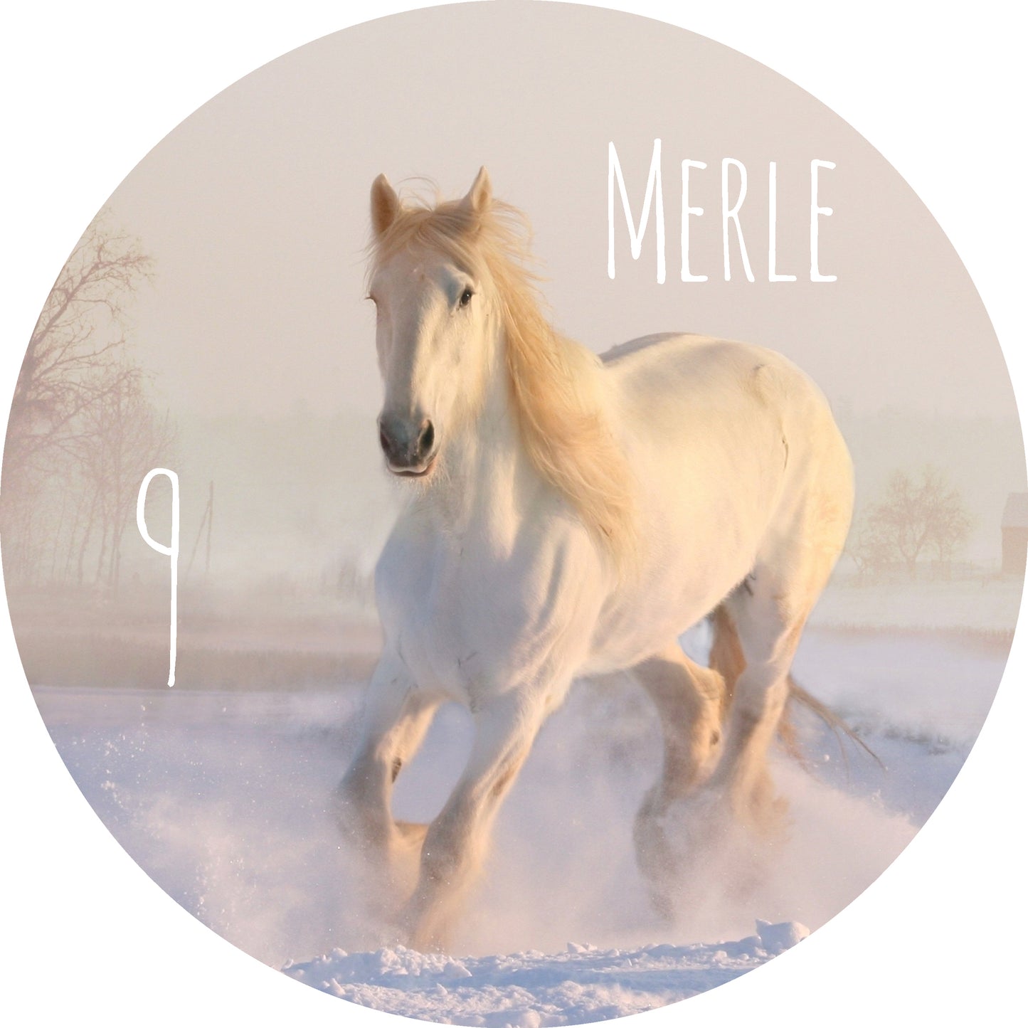 Tortenaufleger Pferd im Schnee personalisierbar
