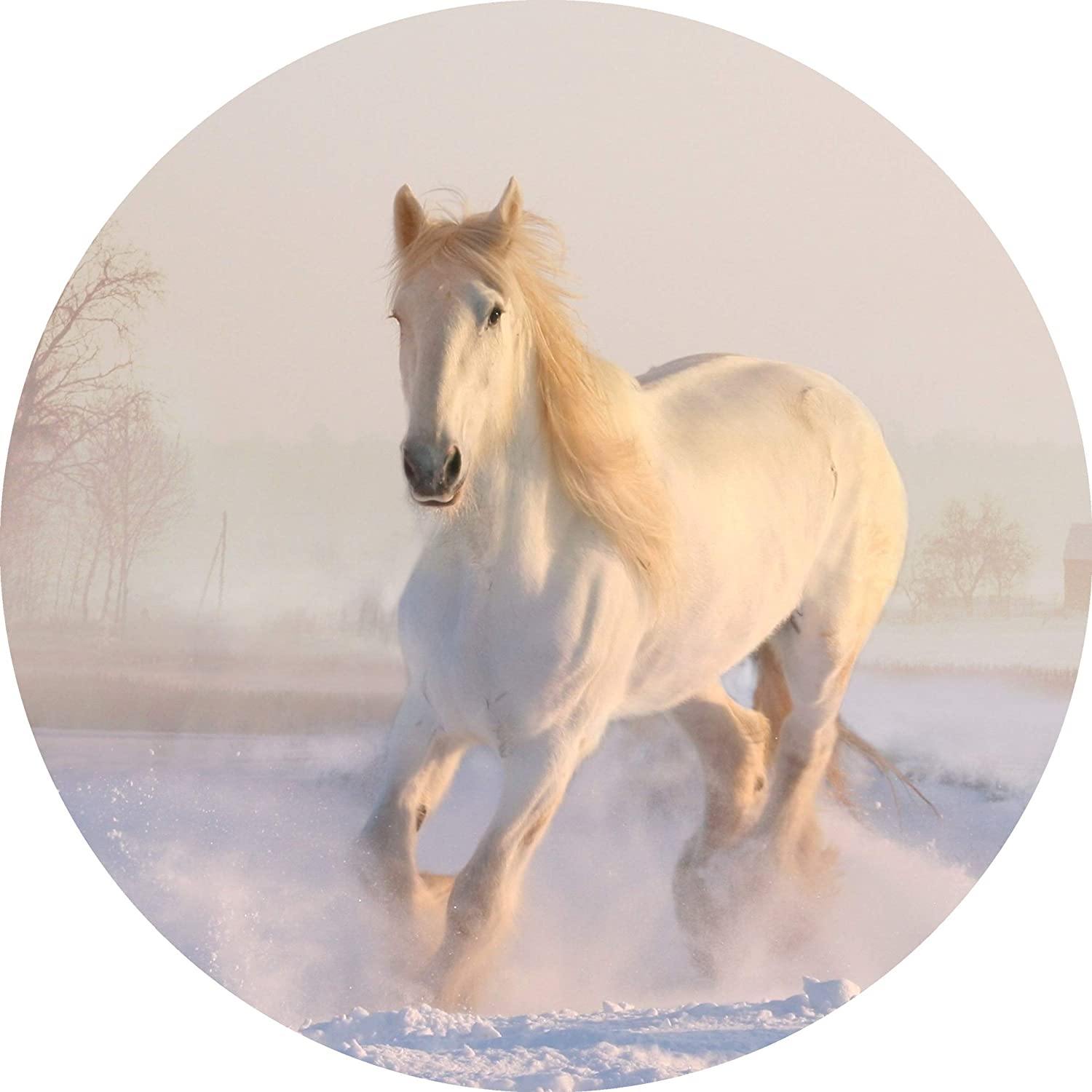 Tortenaufleger Pferd im Schnee - Tolle-Tortenaufleger