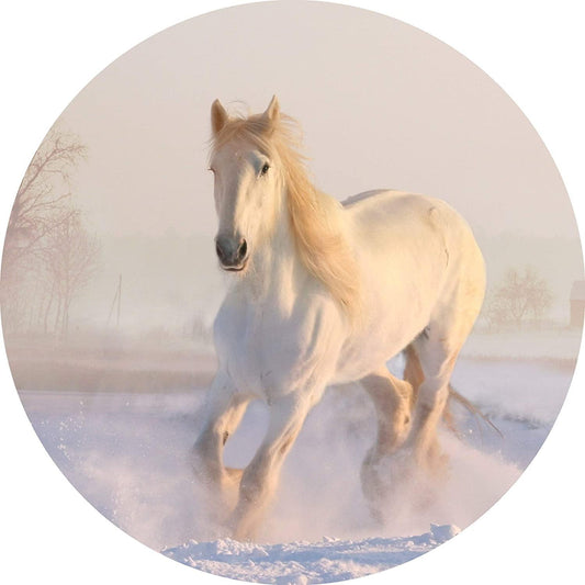Tortenaufleger Pferd im Schnee - Tolle-Tortenaufleger